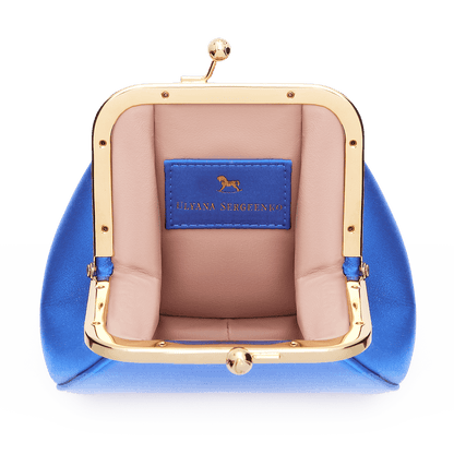 Silk satin and leather mini bag